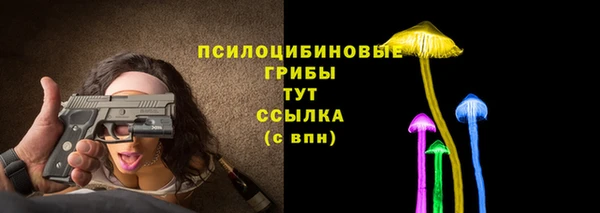 дмт Алзамай