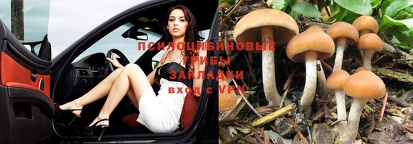ECSTASY Абдулино