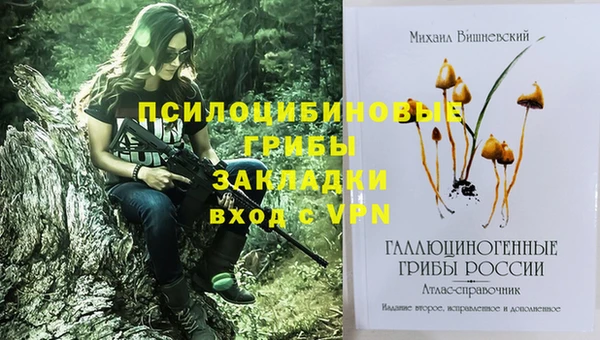 дмт Алзамай