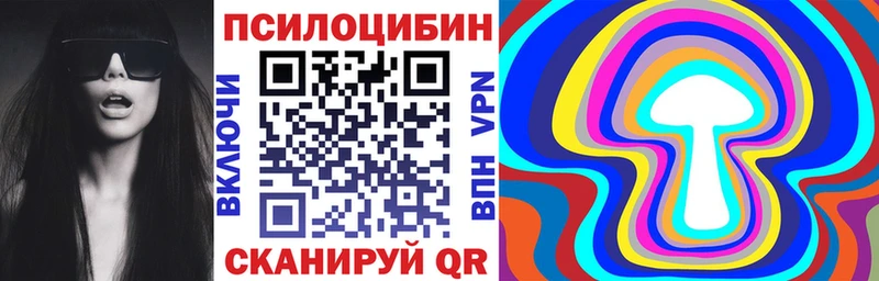 Псилоцибиновые грибы Psilocybe  Куровское 